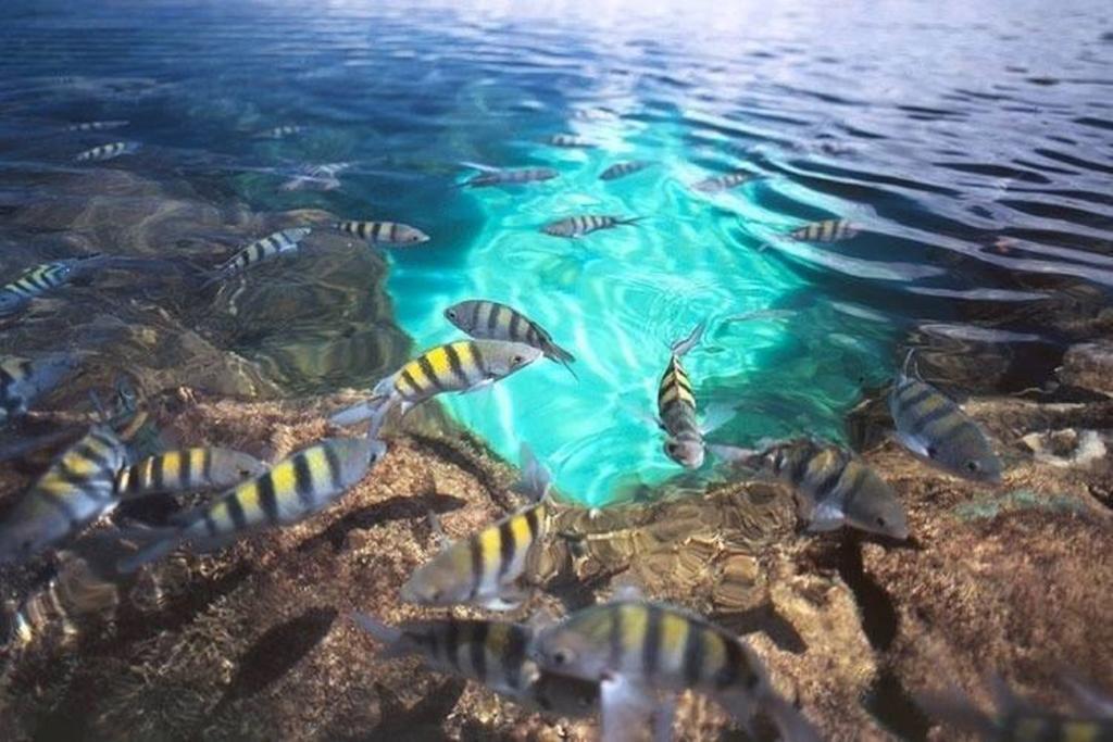 Pousada Mariluz マラゴージ エクステリア 写真